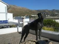 Südafrika - Simons Town