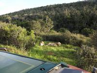 Kariega Game Reserve