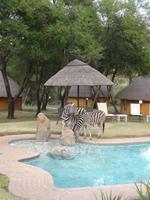 Erfrischung am Pool - Heia Safari Ranch