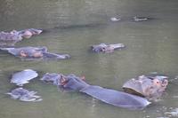 Kariega Game Reserve