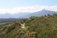 Tsitsikamma Nationalpark