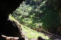 Featherbed Nature Reserve