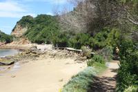 Featherbed Nature Reserve