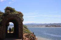 Featherbed Nature Reserve