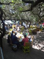 Mittagspause - Featherbed Nature Reserve