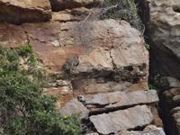 Robberg Nature Reserve