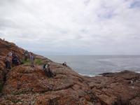 Robberg Nature Reserve