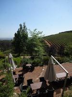 Tokara Weingut - Stellenbosch