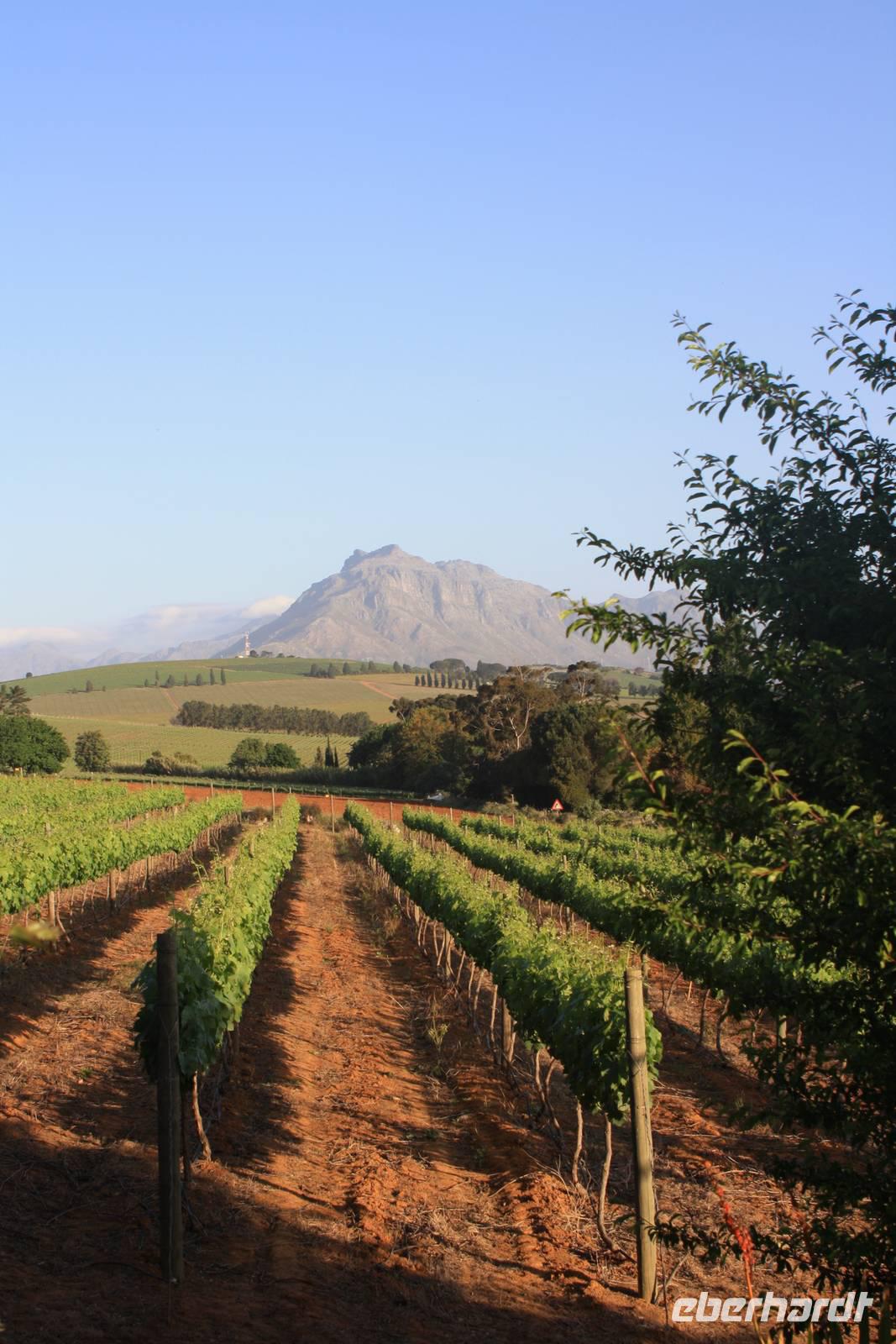 Stellenbosch und Umgebung