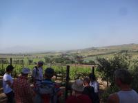 Weinwanderung - Stellenbosch