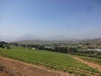 Weinwanderung - Stellenbosch