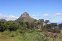 Lion´s Head - Kapstadt