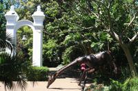 Company Garden - Kapstadt