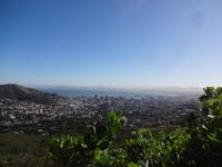 Blick vom Fuße des Tafelberg - Kapstadt