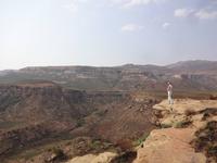 Protea Corner - Golden Gate Highlands Nationalpark