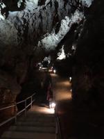 In der Tropfsteinhöhle - Cradle of Mankind