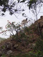 Zama - Cathedral Peak Nationalpark