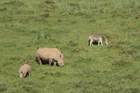 Kariega Game Reserve