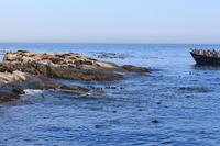 Robbeninsel – Seal Island