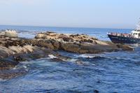 Robbeninsel – Seal Island