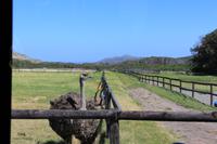 Nationalpark der Kap Halbinsel