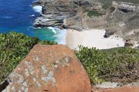 Nationalpark der Kap Halbinsel