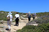 Nationalpark der Kap Halbinsel
