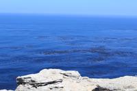 Nationalpark der Kap Halbinsel