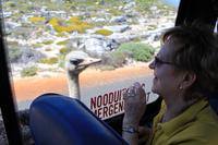 Nationalpark der Kap Halbinsel