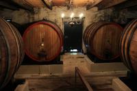 Weingut Blaauwklippen