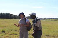 Elephant Park Knysna