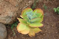 Krüger Nationalpark