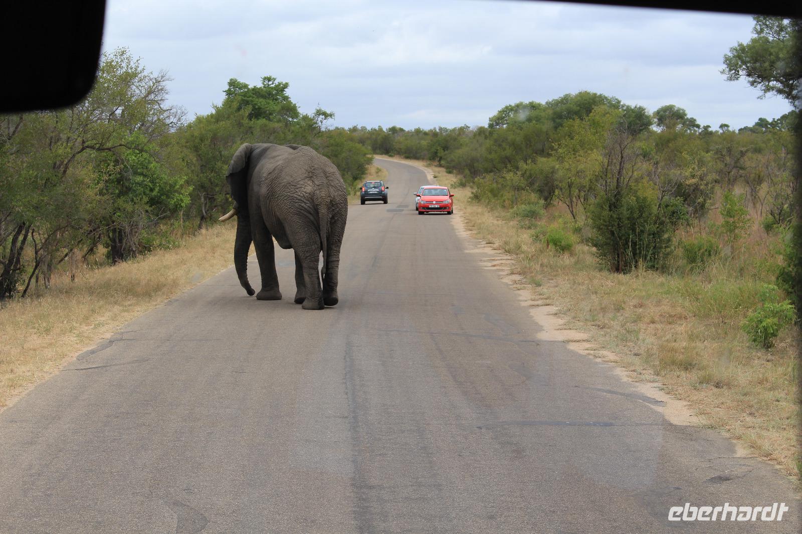 Krüger Nationalpark