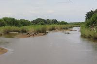 Krüger Nationalpark