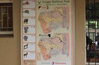 Krüger Nationalpark