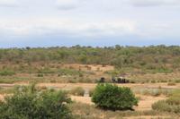 Krüger Nationalpark