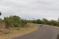 Krüger Nationalpark