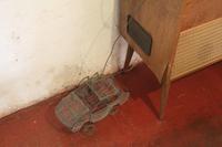 Mittagessen in SOWETO bei Mama Lindi