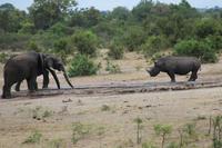 Krüger Nationalpark