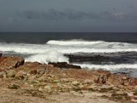 am Kap der Guten Hoffnung