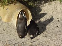 komm wir gehen da hinein, ja ? 