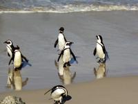 Brr, das war aber kalt