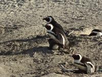 wir passen einfach beide aufs Baby auf