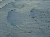 eine Surferkolonie !