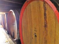 Blaauwklippen Kellerei