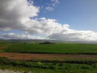 auf dem Weg nach Mossel Bay
