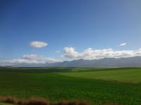 auf dem Weg nach Mossel Bay