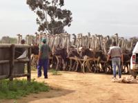 nochmals aufstellen bitte, zum zaehlen