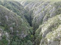 auf der Fahrt nach Port Elizabeth