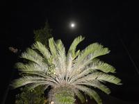 Es ist Vollmond in St. Lucia